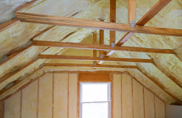 Best Insulation Contractor Near Me  in Sunray, TX