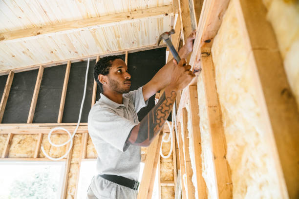 Best Insulation Contractors for Homes  in Sunray, TX