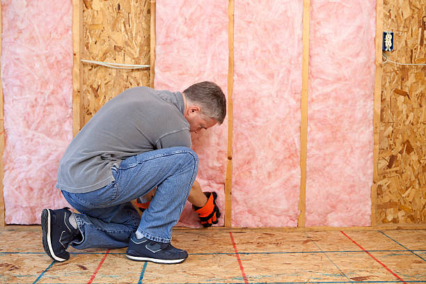 Best Residential Insulation Services  in Sunray, TX