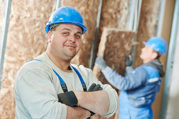 Best Residential Insulation Services  in Sunray, TX