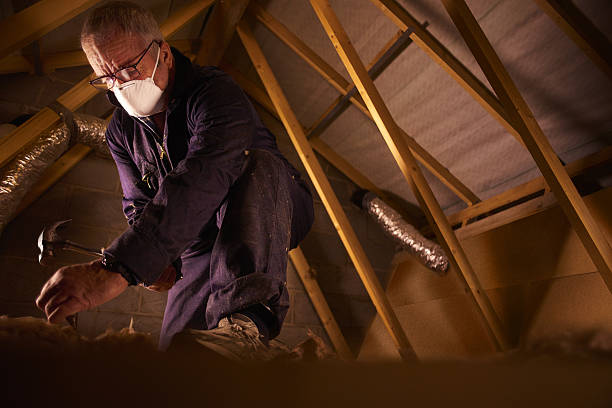 Best Soundproof Insulation Installation  in Sunray, TX