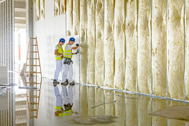 Best Blown-in Insulation  in Sunray, TX